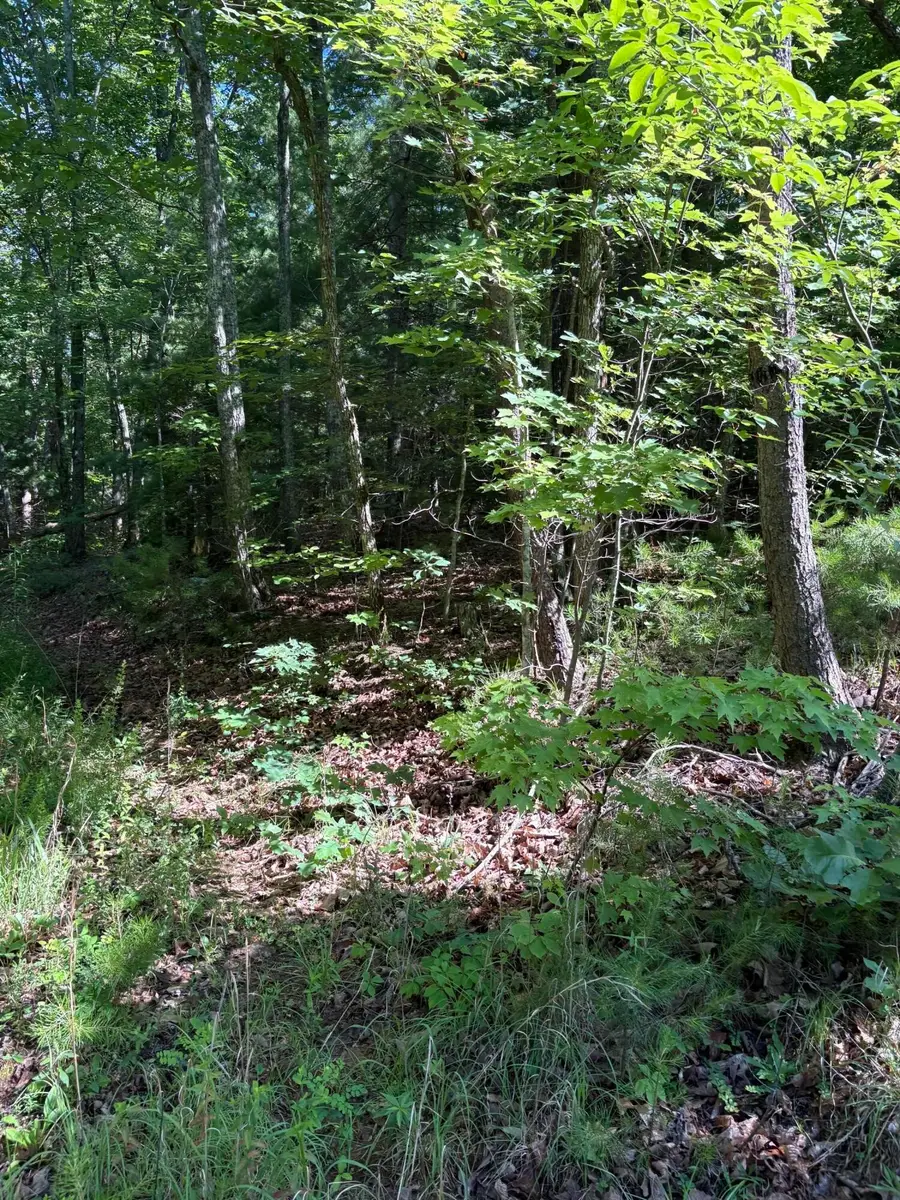 3 Old Furnace Road, Tellico Plains, TN 37385 - #3