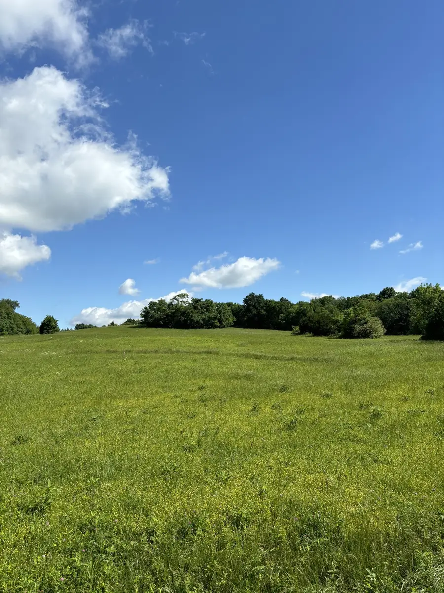 1093 Bugscuffle Road, Wartrace, TN 37183 - #2