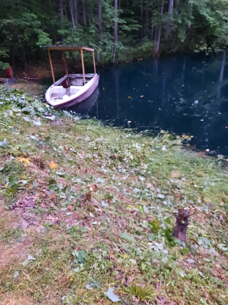17627 Campbellsville Rd, Lynnville, TN 38472 - #3