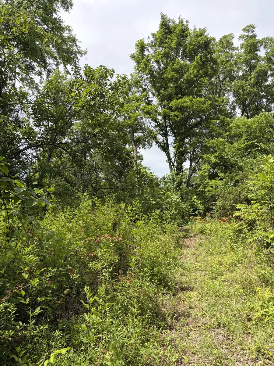 200 Robert Neal Durham Rd, Bethpage, TN 37022 - #2