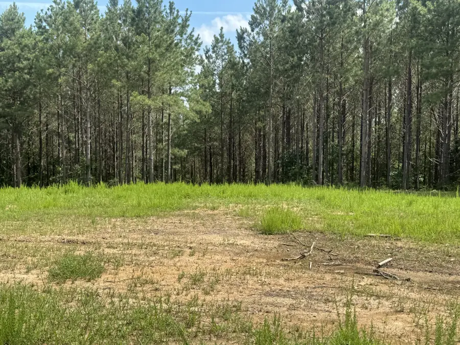 0 Rustic Pines Rd, Dover, TN 37058 - #2
