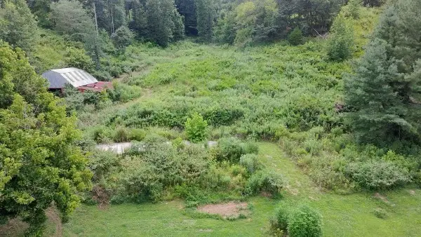 440 Big Spring Hollow Rd, Pulaski, TN 38478