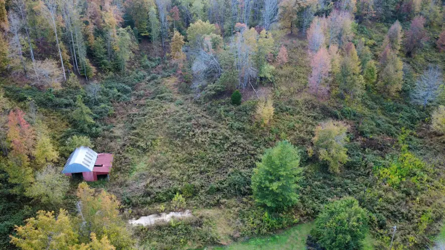 440 Big Spring Hollow Rd, Pulaski, TN 38478 - #3