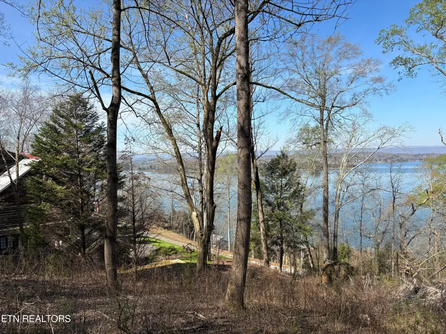 38 Johnson Lane, Ten Mile, TN 37880 - #2