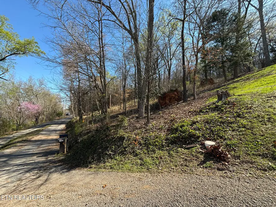 38 Johnson Lane, Ten Mile, TN 37880 - #3