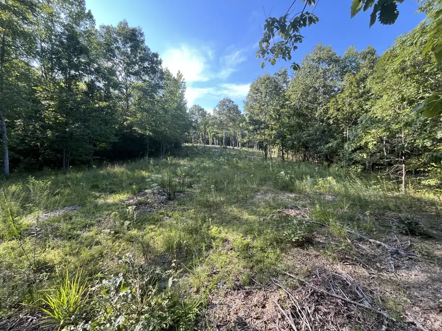481 Hillbrook Dr, Linden, TN 37096 - #3