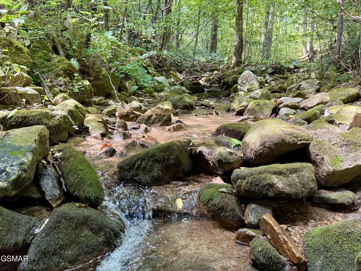154 Summit Trails Drive, Sevierville, TN 37862 - #1
