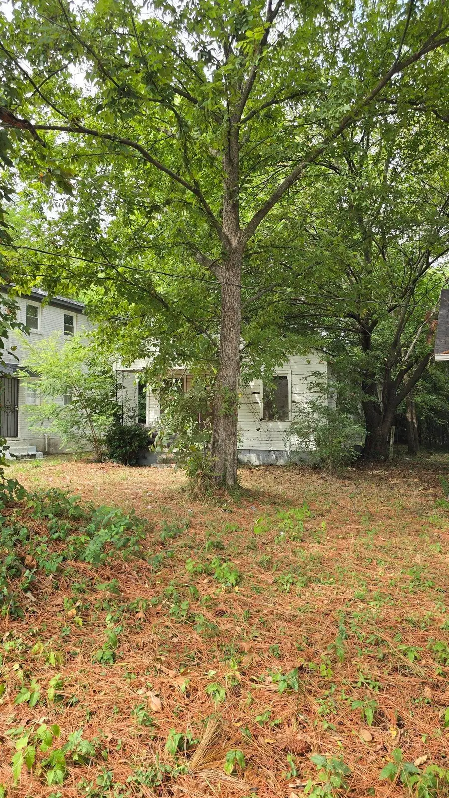 3046 Mcadoo Ave, Memphis, TN 38112 - #3