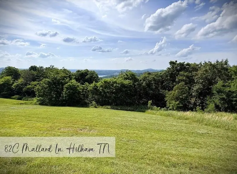 82c Mallard Rd, Hilham, TN 38568 - #1