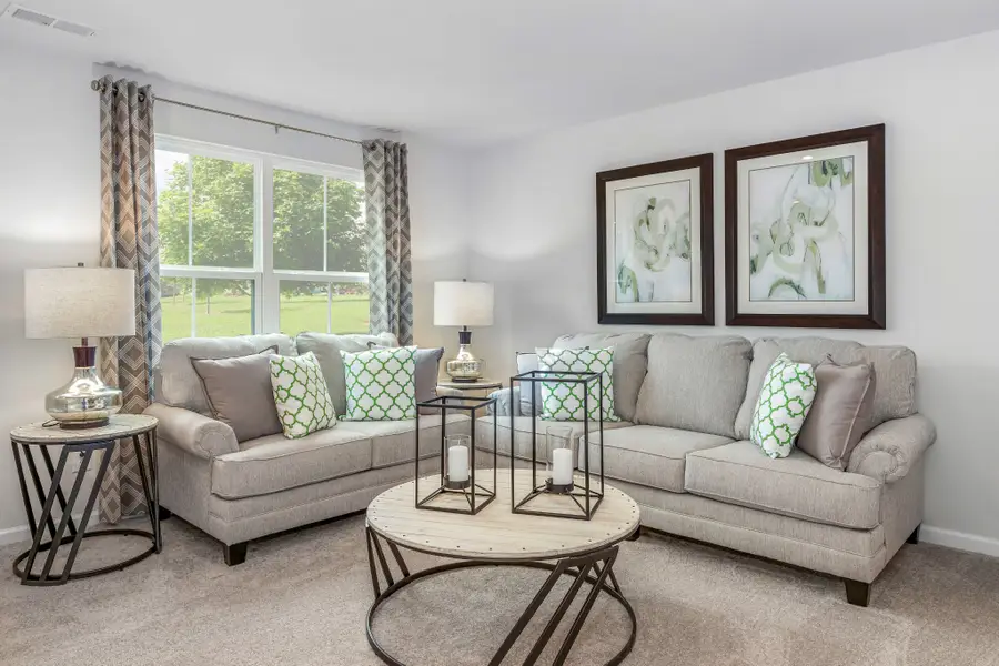 497 Grey Ghost Way, Smyrna, TN 37167 - #2