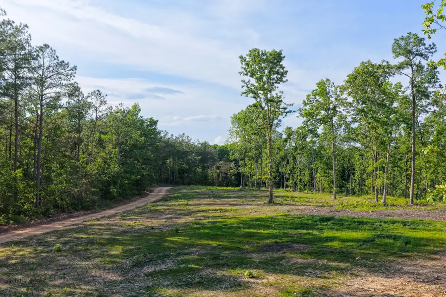 0 Firetower Rd, Centerville, TN 37033 - #3