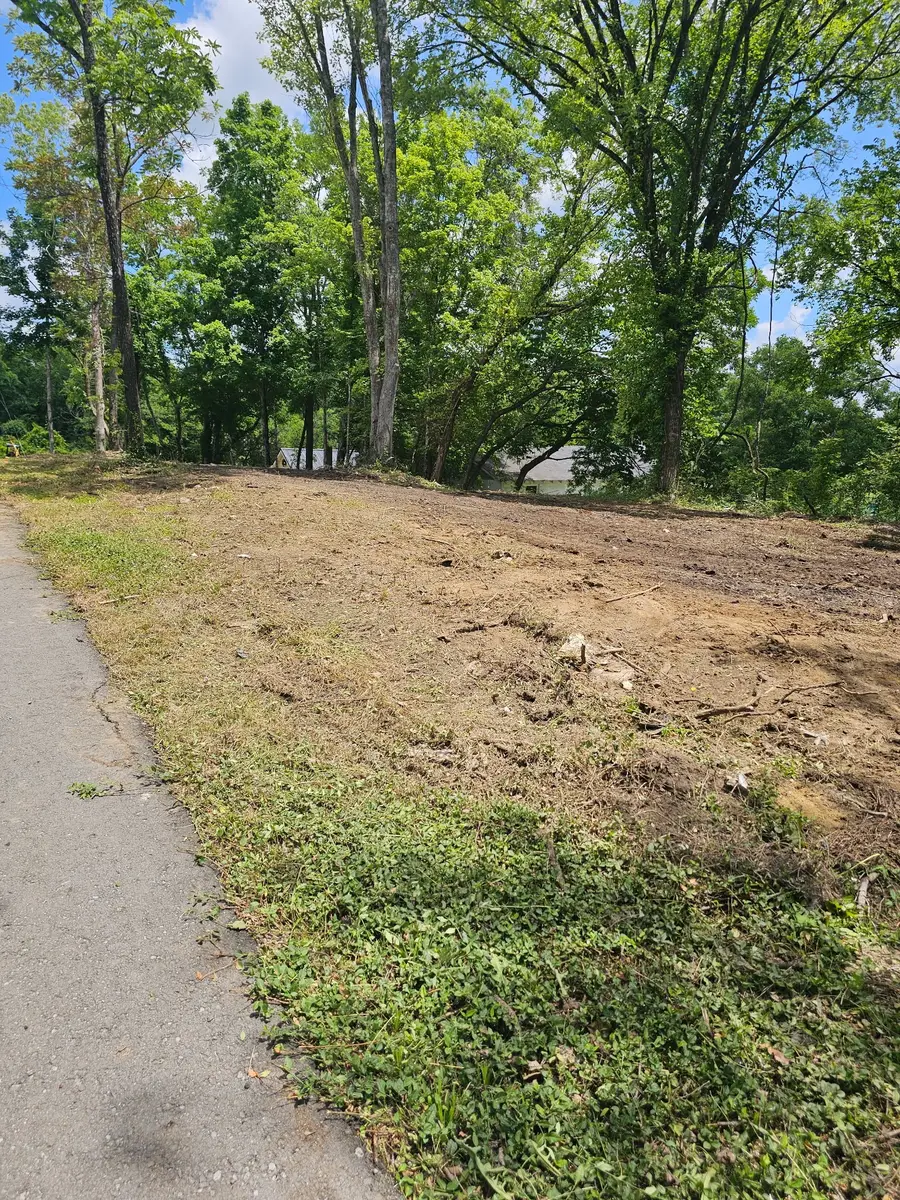 0 8th Street, Bell Buckle, TN 37020 - #3