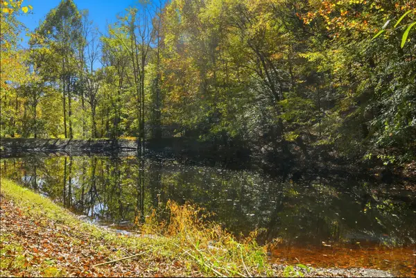 4300 Bull Run Rd, Ashland City, TN 37015