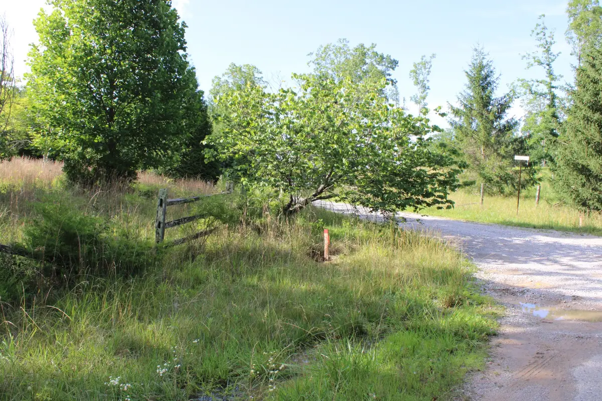 0 Long Mountain Rd, McMinnville, TN 37110 - #1