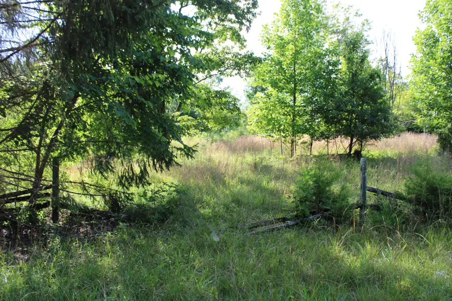 0 Long Mountain Rd, McMinnville, TN 37110 - #2