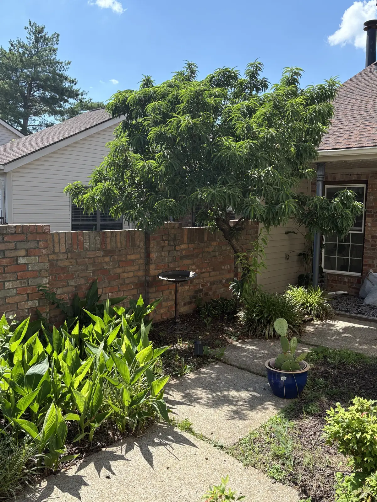 404 Laurel Hill Dr, Old Hickory, TN 37138 - #1