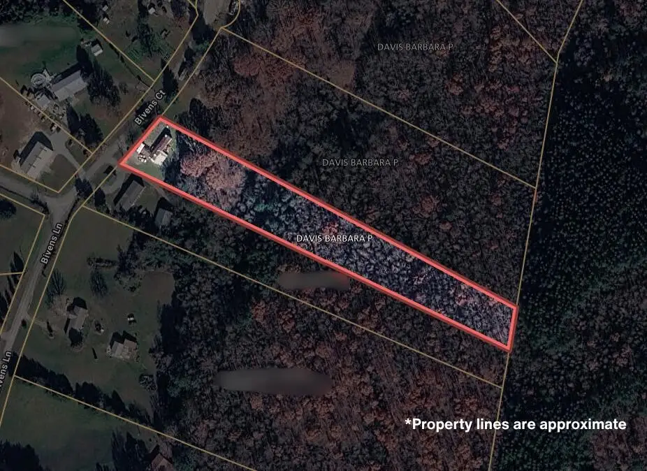 160 Bivens Court, Niota, TN 37826 - #1