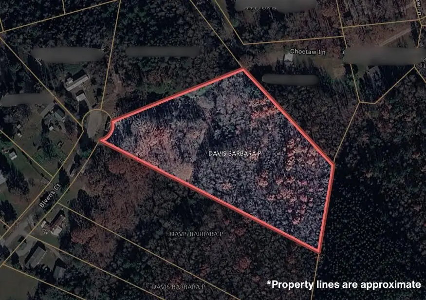200 Bivens Court, Niota, TN 37826 - #1