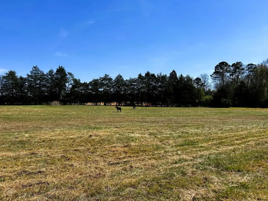 175 County Road 571, Englewood, TN 37329 - #2