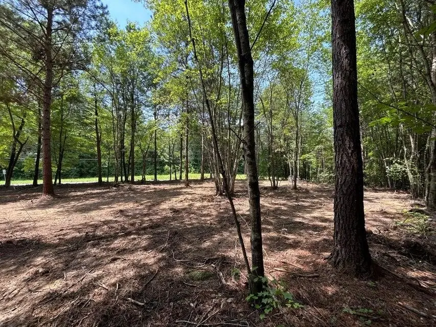 34 Tennessee 304, Ten Mile, TN 37880 - #3