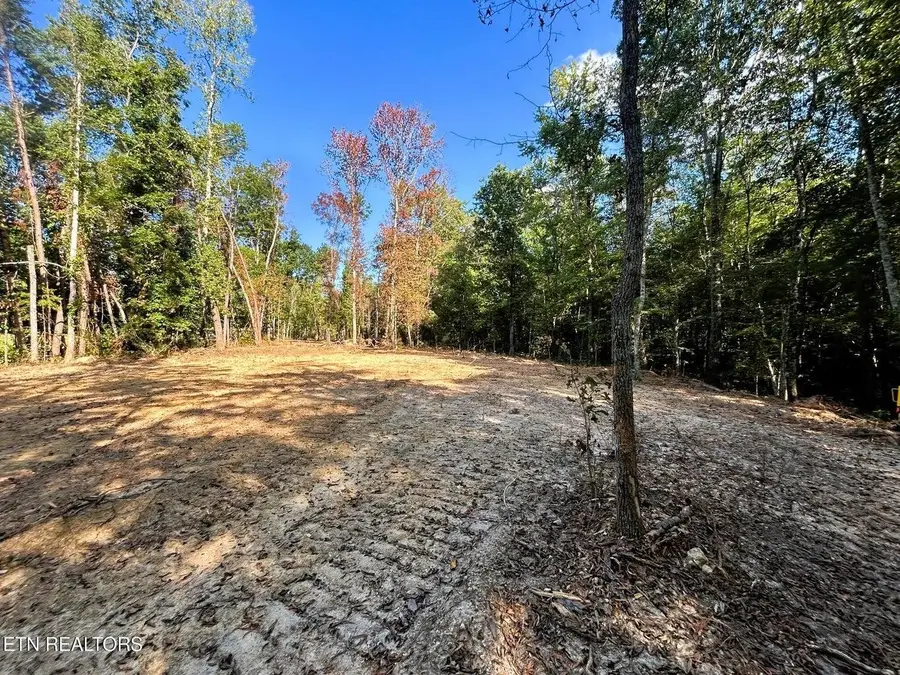 55 Pleasant Hill Rd, Ten Mile, TN 37880 - #2