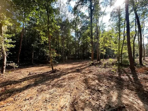 4 Pleasant Hill Road, Ten Mile, TN 37880