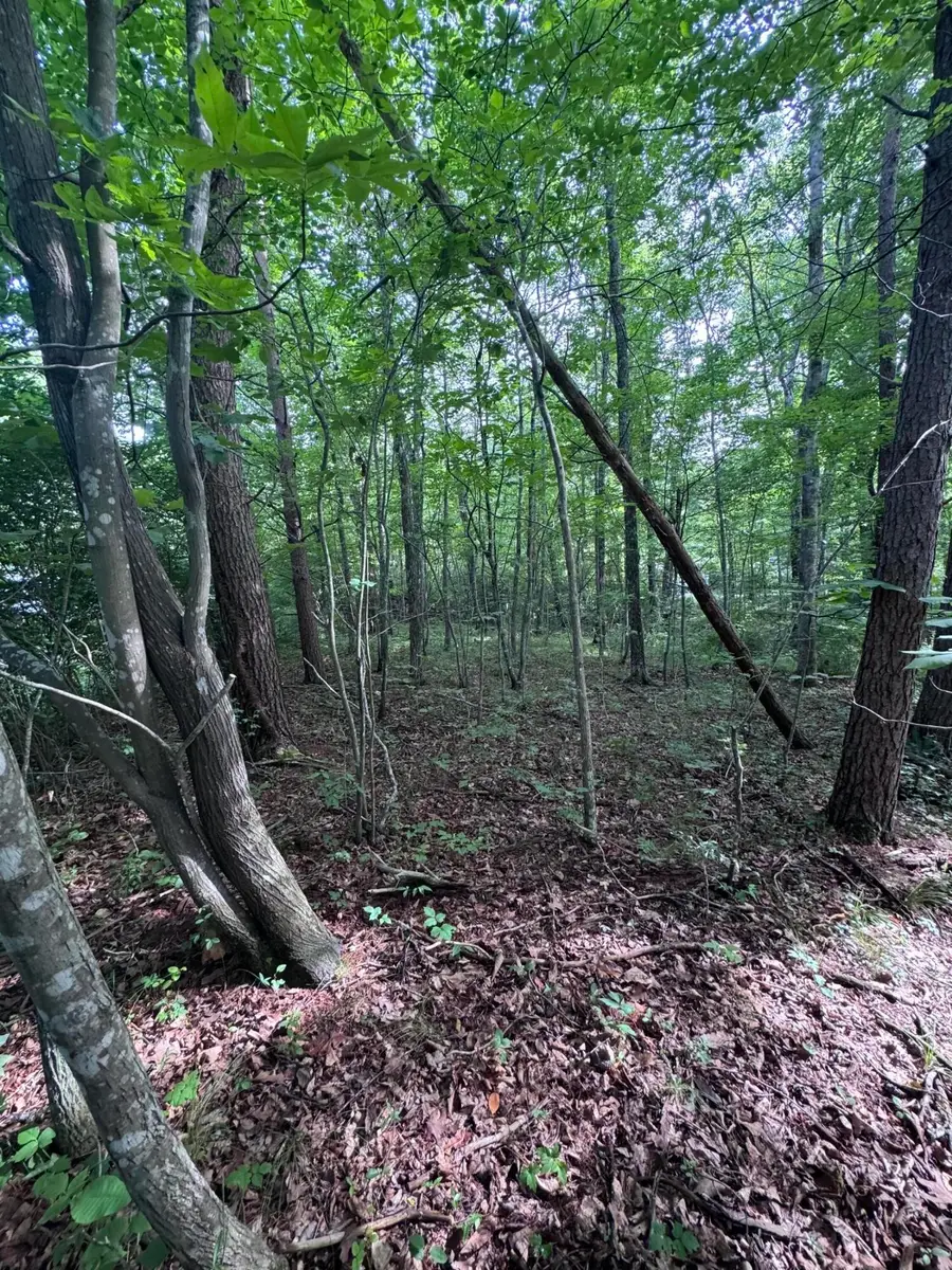 119 Hampshire Lane, Crossville, TN 38558 - #3