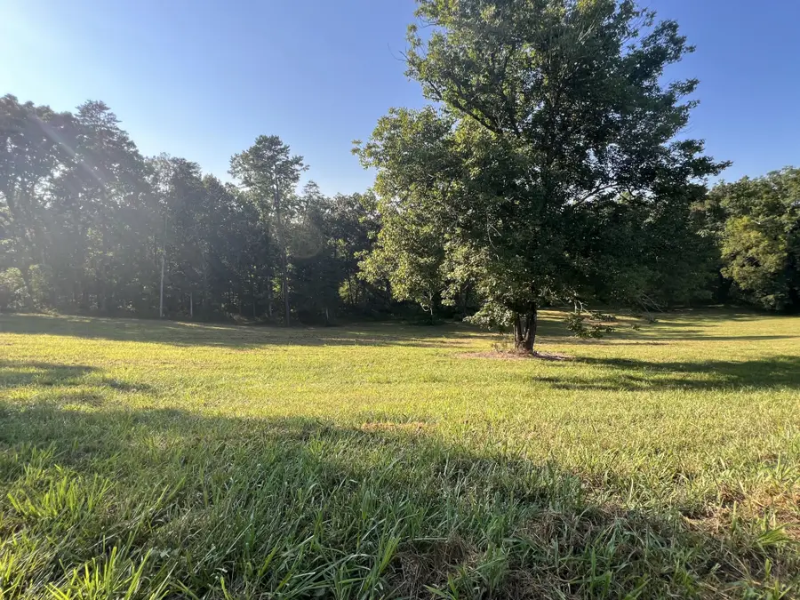 39 Bear Creek Road, Birchwood, TN 37308 - #2