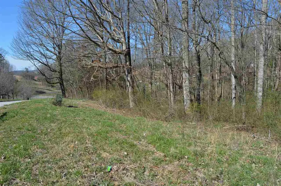 12 County Road 321, Niota, TN 37826 - #2