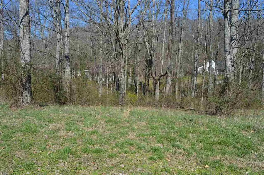 12 County Road 321, Niota, TN 37826 - #3