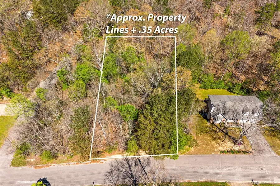 0 Fox Run Circle S, Flintstone, GA 30725 - #3