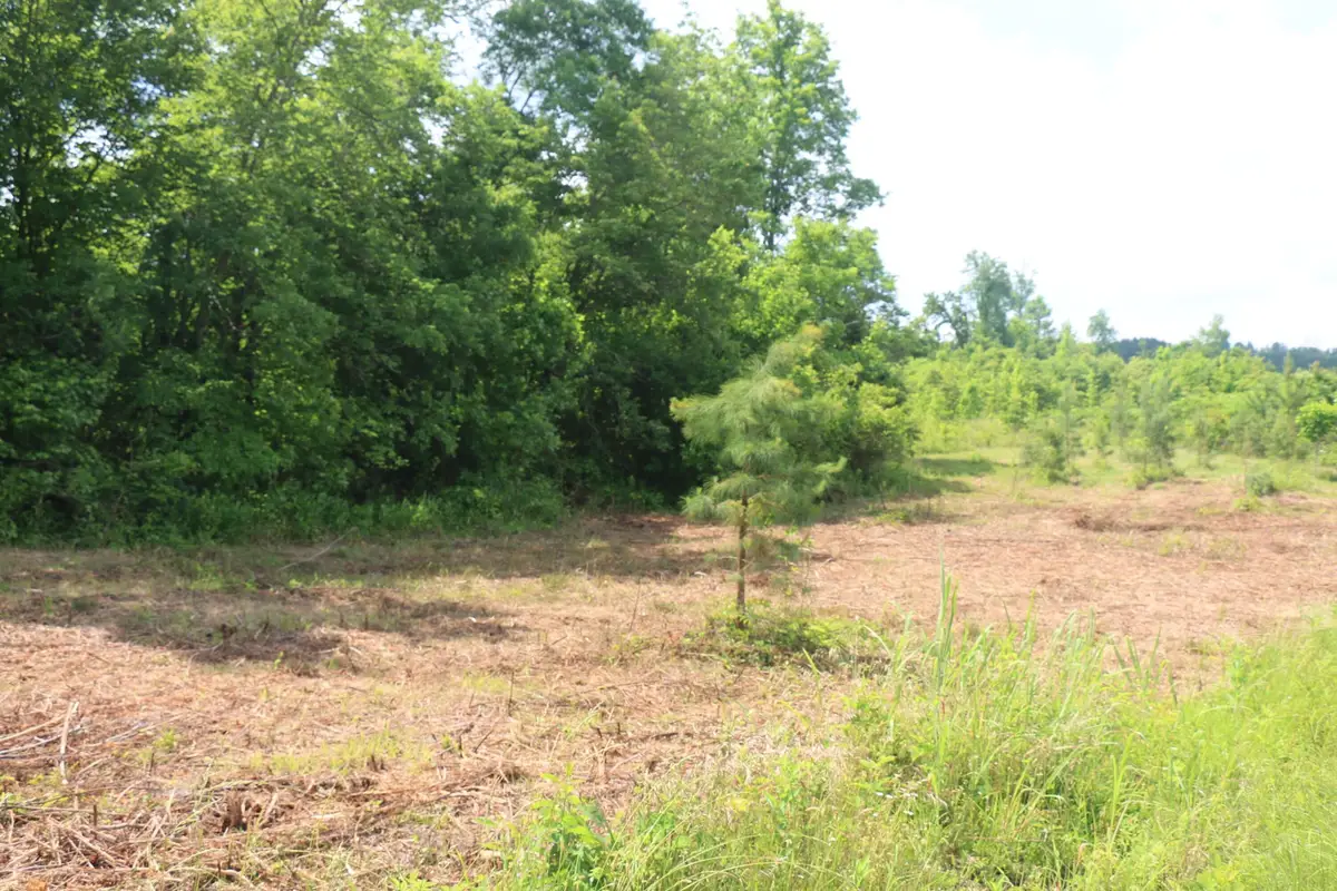 1 N Nopone Valley Road, Decatur, TN 37322 - #1