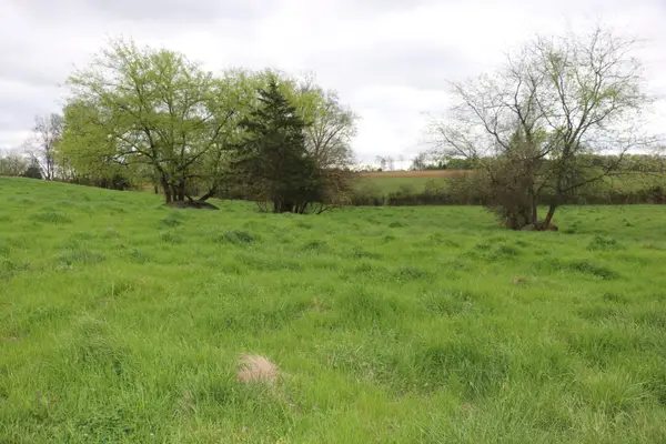 551 Campground Road, Madisonville, TN 37354
