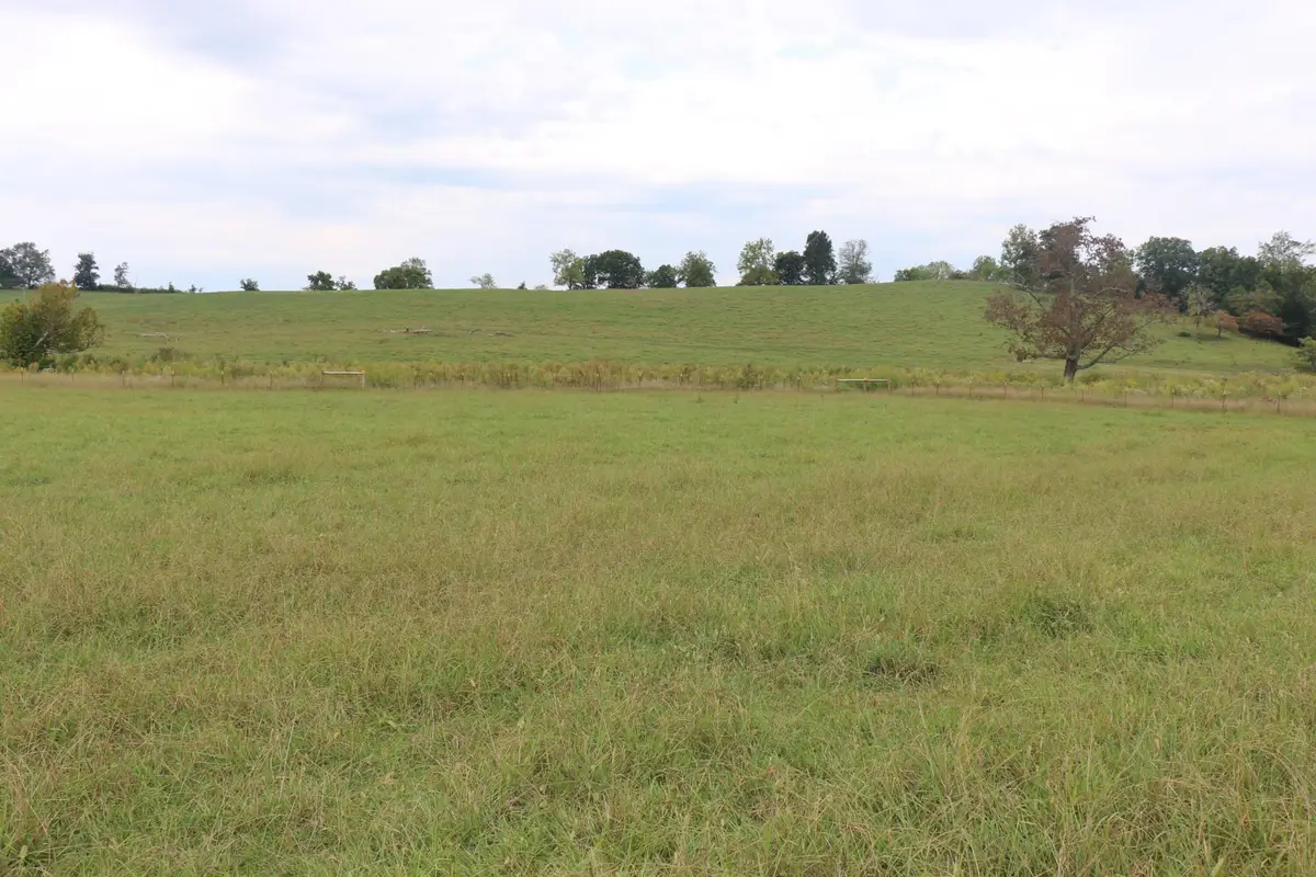 1163 County Road 461, Englewood, TN 37329 - #1
