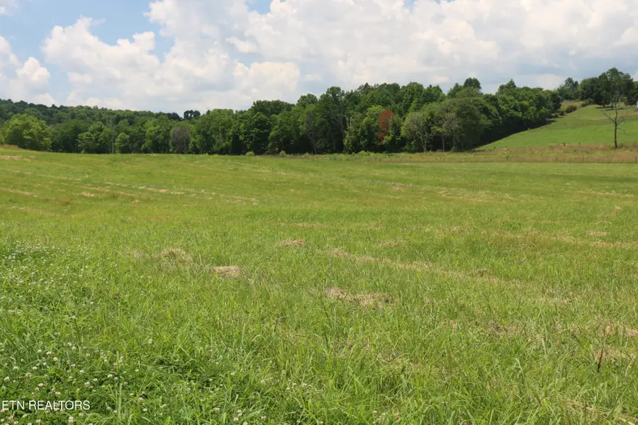 4 County Road 461, Englewood, TN 37329 - #2