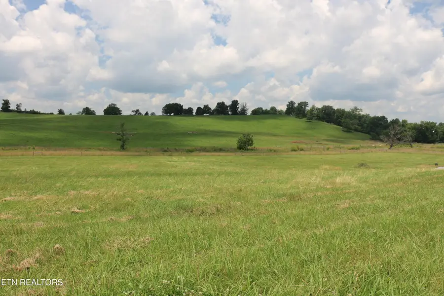 4 County Road 461, Englewood, TN 37329 - #3
