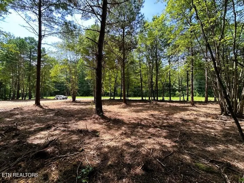 34 State Highway 304, Ten Mile, TN 37880 - #1
