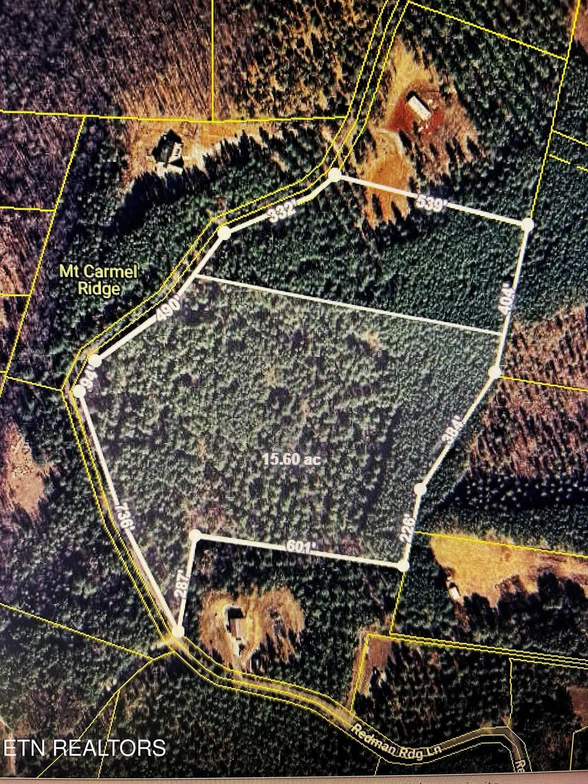 1553 Redman Ridge Lane, Decatur, TN 37322 - #1