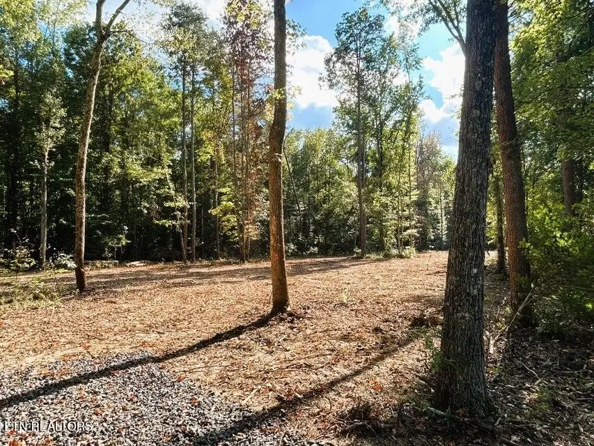 3 Pleasant Hill Road, Ten Mile, TN 37880 - #1