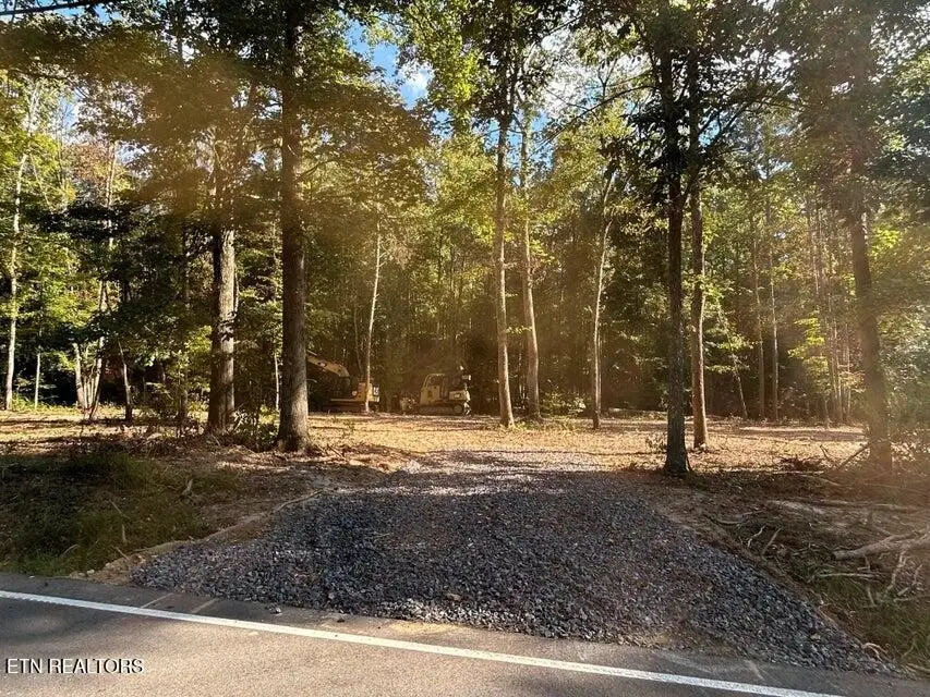 3 Pleasant Hill Road, Ten Mile, TN 37880 - #2
