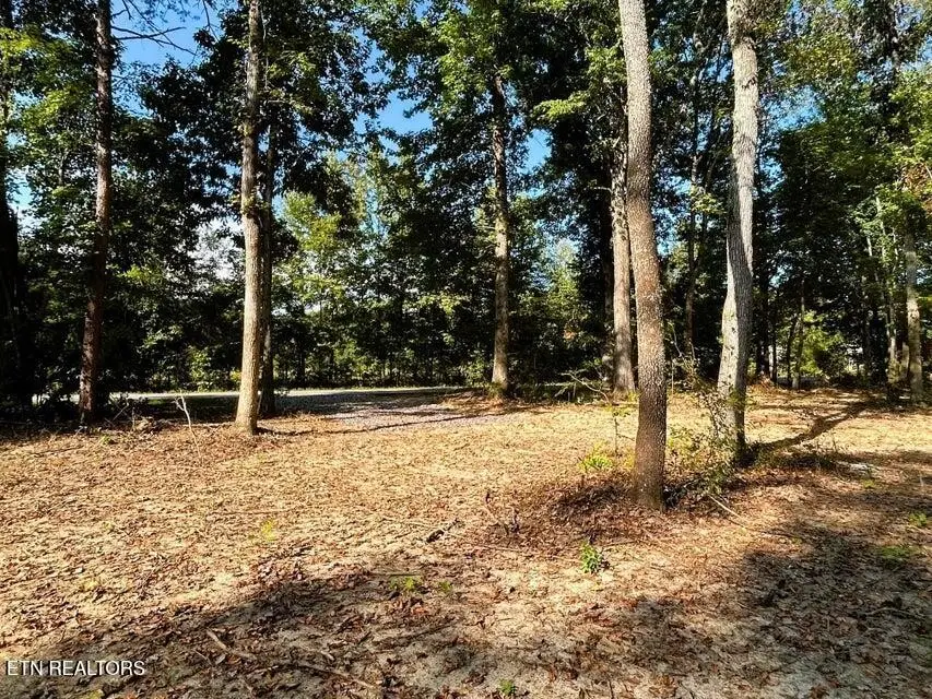 3 Pleasant Hill Road, Ten Mile, TN 37880 - #3