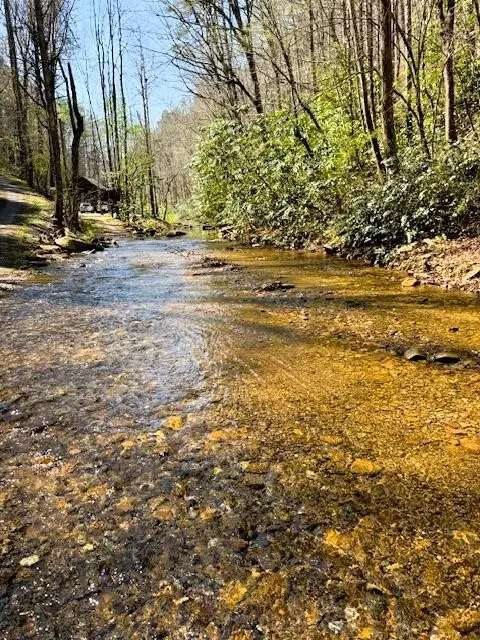 768 Ellis Creek Road, Reliance, TN 37369 - #1