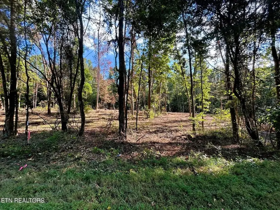 55 Pleasant Hill Road, Ten Mile, TN 37880 - #2