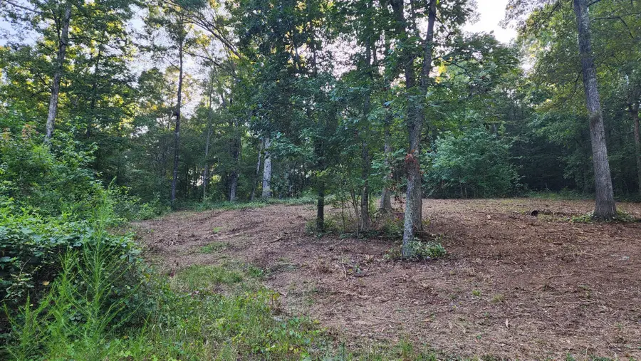 375 Goins Hill Road, Ten Mile, TN 37880 - #3