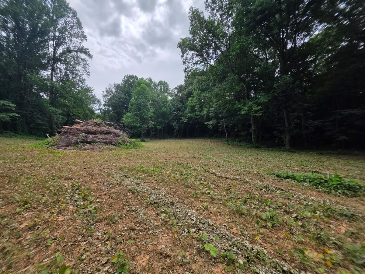 13 Shellsford Rd, McMinnville, TN 37110 - #1