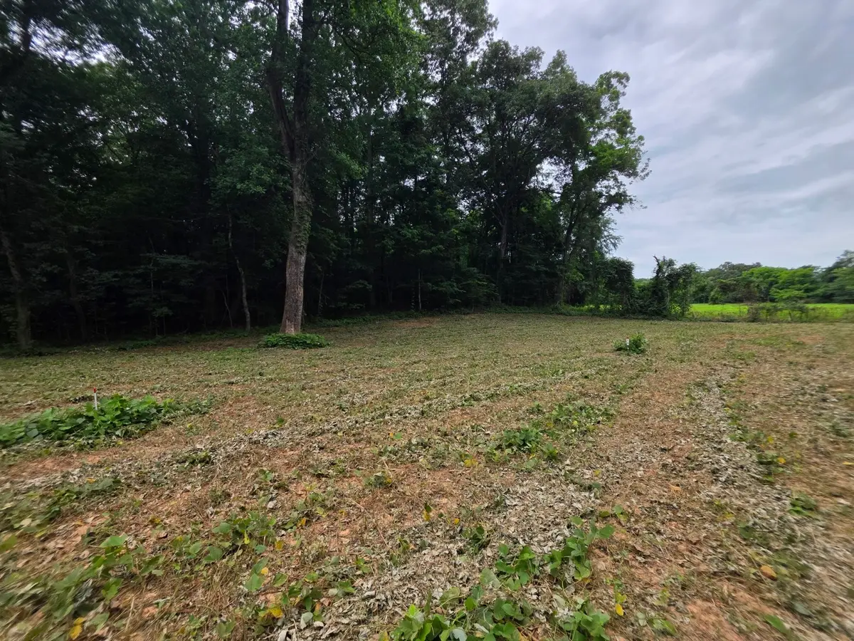 12 Shellsford Rd, McMinnville, TN 37110 - #1
