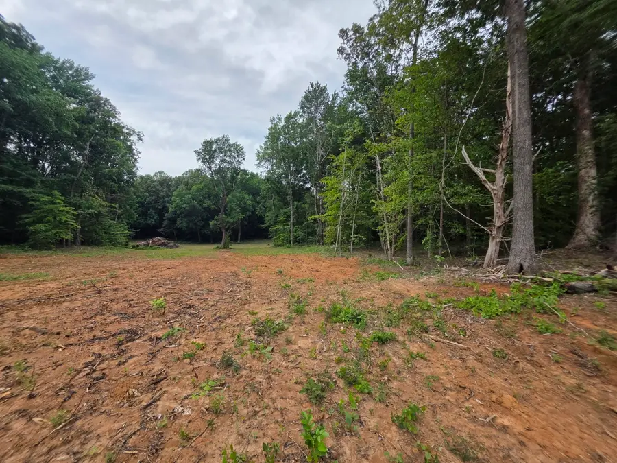 12 Shellsford Rd, McMinnville, TN 37110 - #3