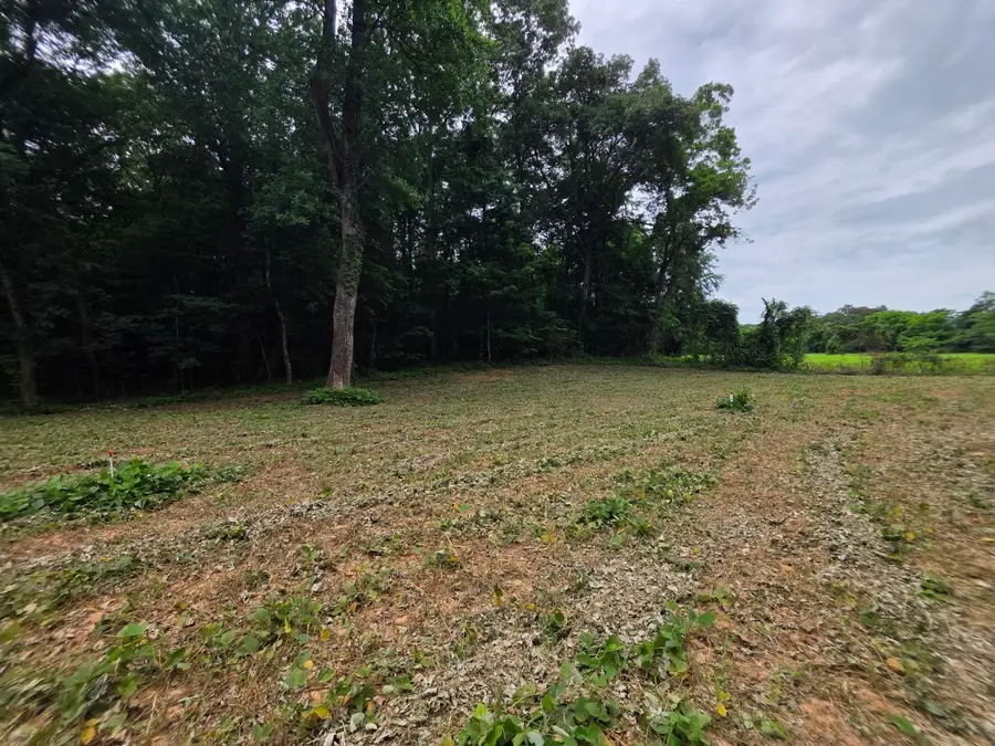 6 Shellsford Rd, McMinnville, TN 37110 - #2