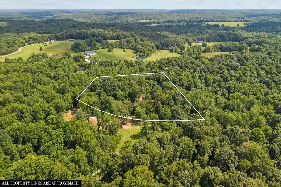875 Little Leatherwood Rd, Vanleer, TN 37181 - #3