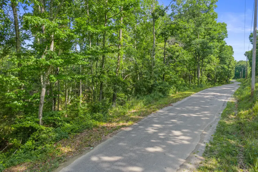 0 Coxburg Rd N, Holladay, TN 38341 - #3